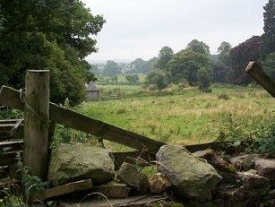 Hauxwell view